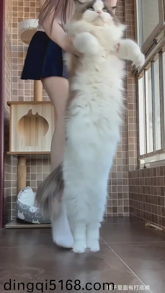 镹娱乐游戏